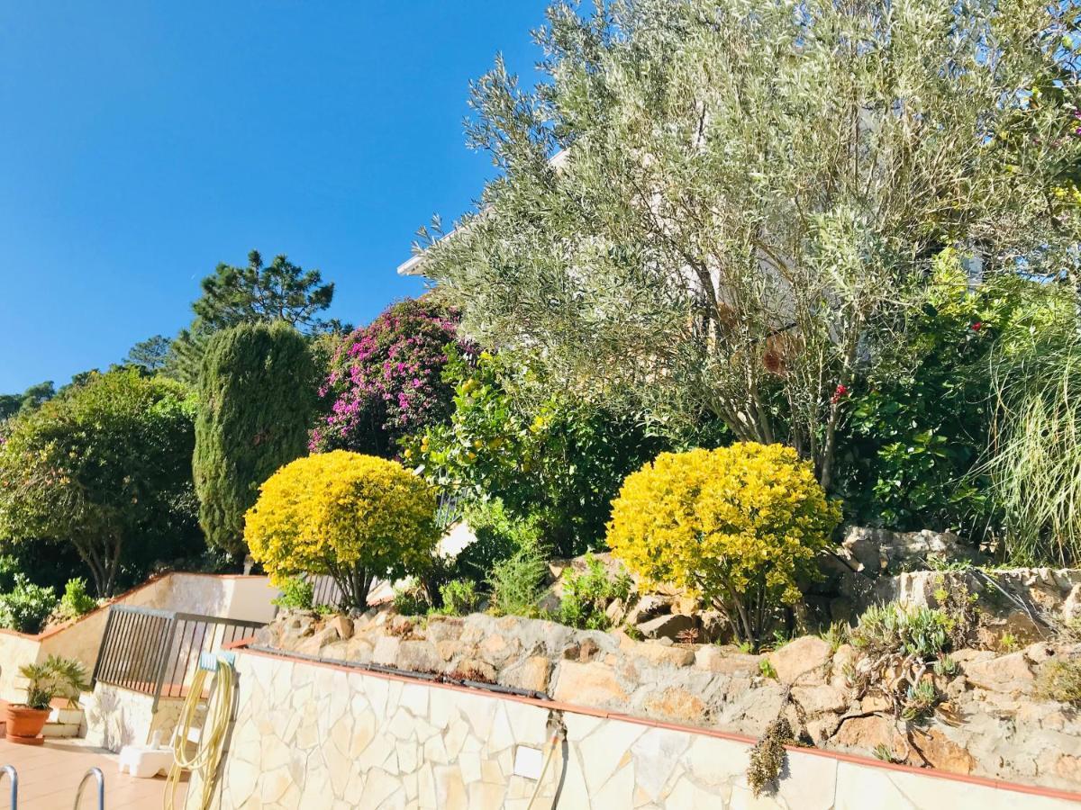 Mediterranean Villa Investingspain Sea View And Pool Lloret de Mar Exterior foto